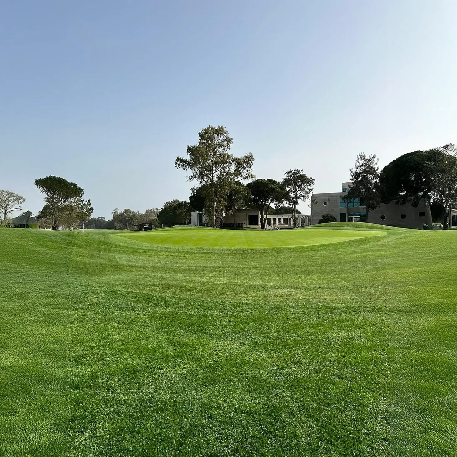 Antalya Golf Club - Çimser