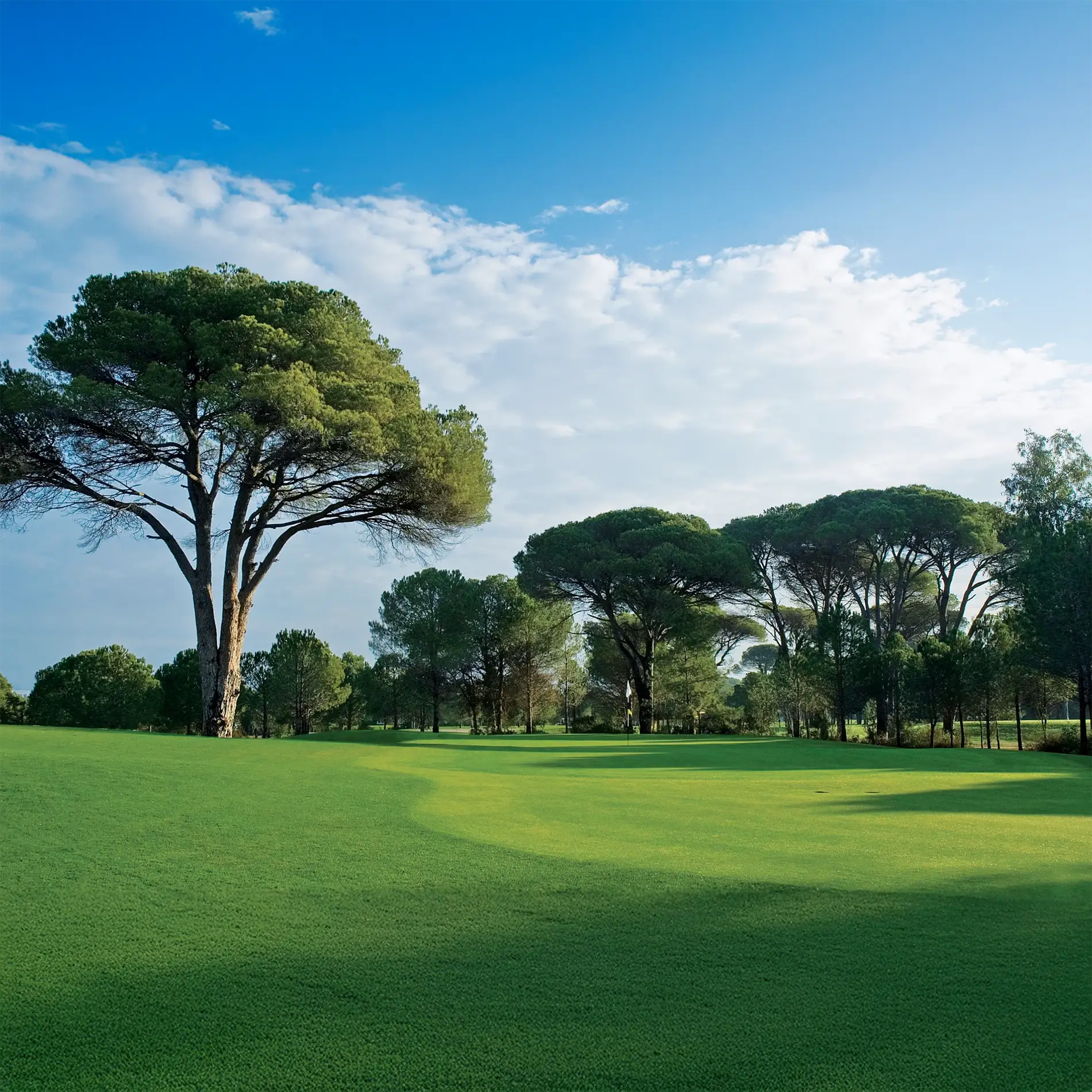 Cornelia Golf Club - Çimser