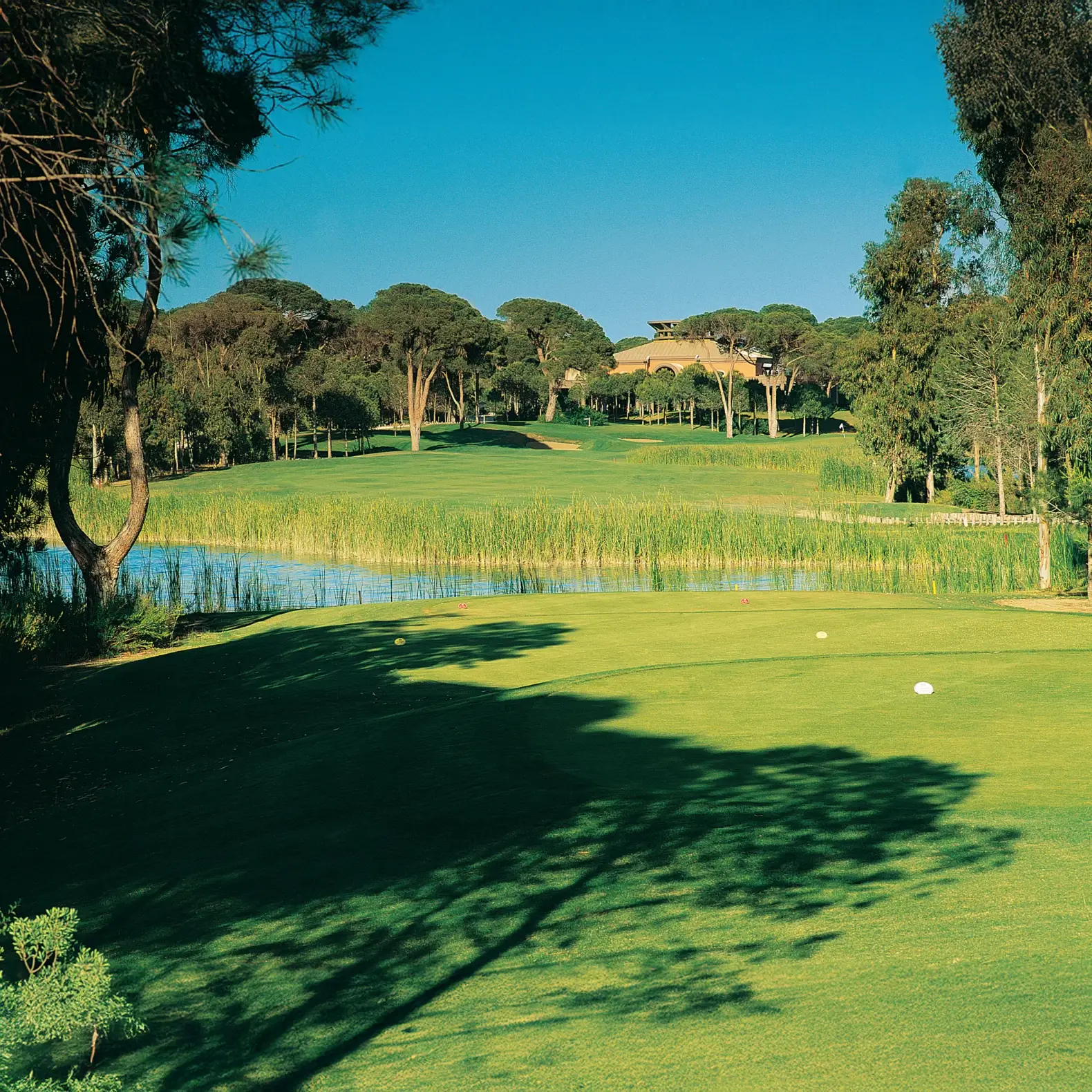 Cornelia Golf Club - Çimser