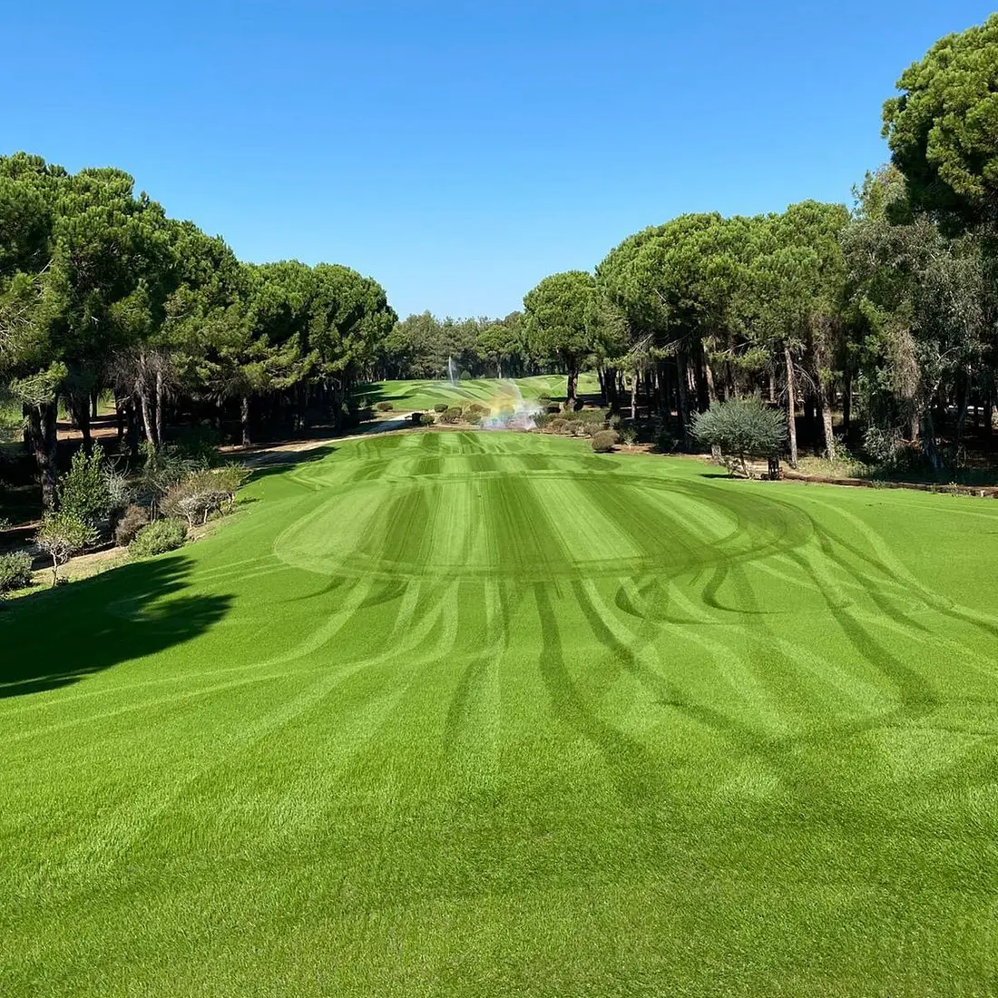 Cornelia Golf Club - Çimser