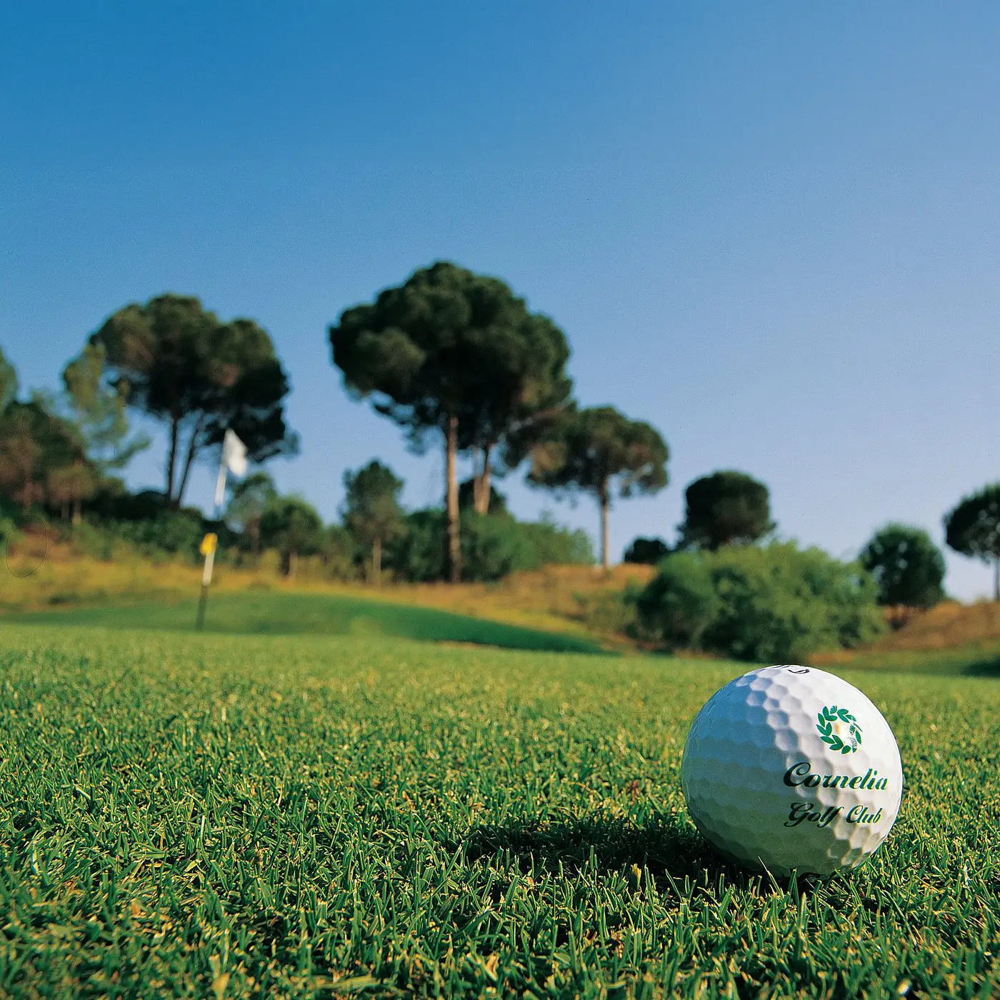 Cornelia Golf Club - Çimser
