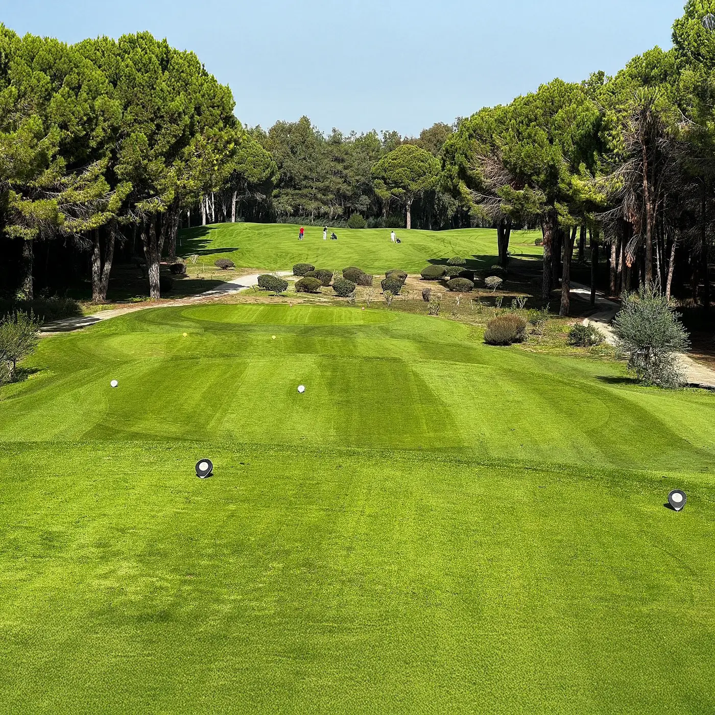 Cornelia Golf Club - Çimser