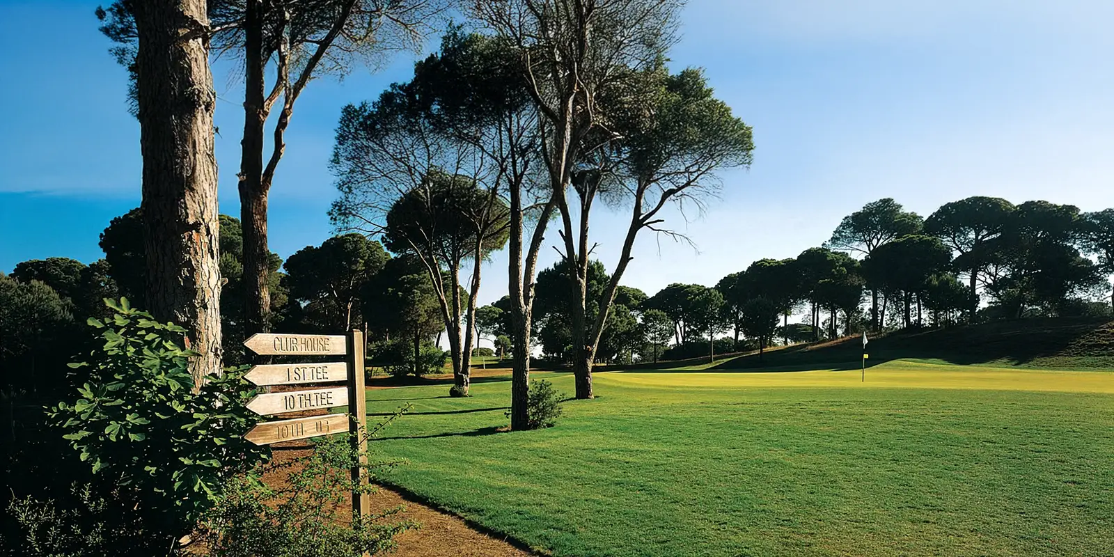 Cornelia Golf Club - Çimser