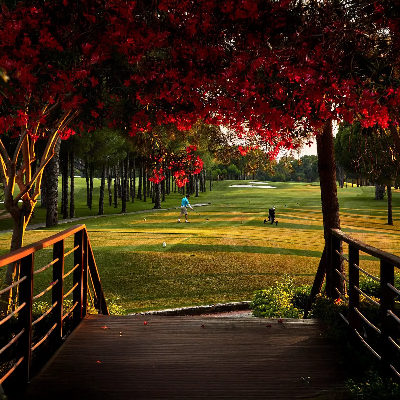 Gloria Golf Resort - Çimser