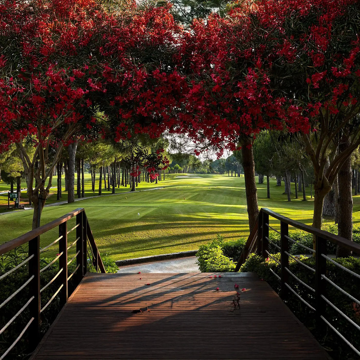 Gloria Golf Resort - Çimser