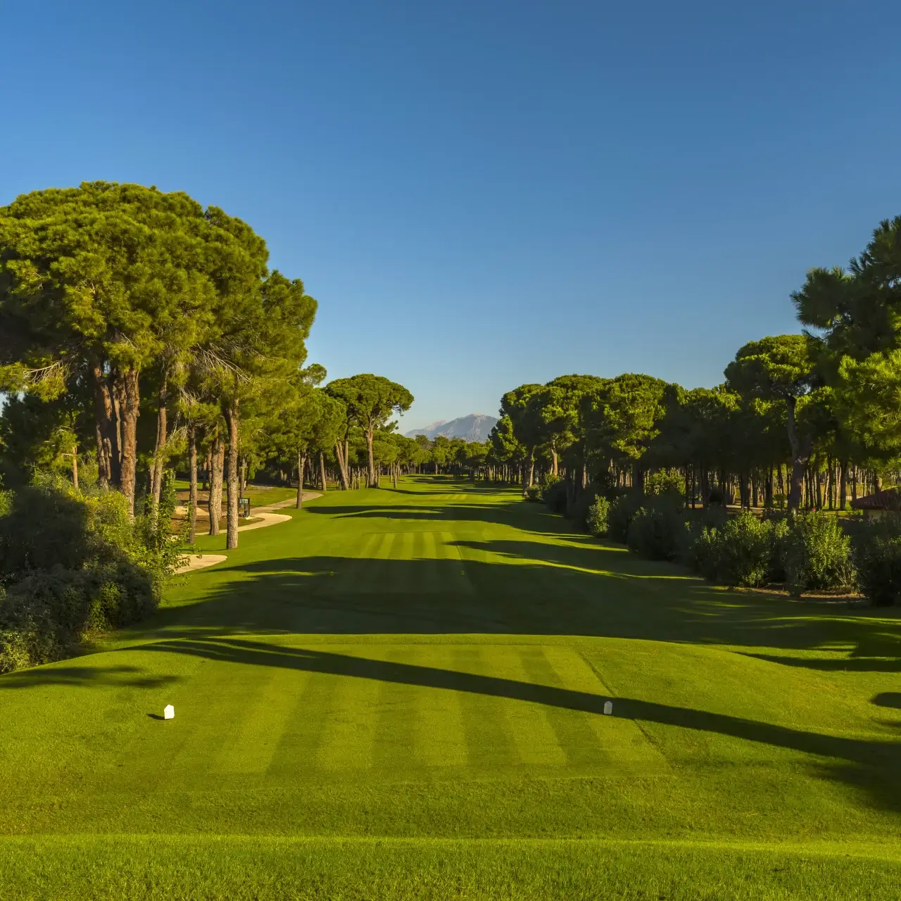 Gloria Golf Resort - Çimser