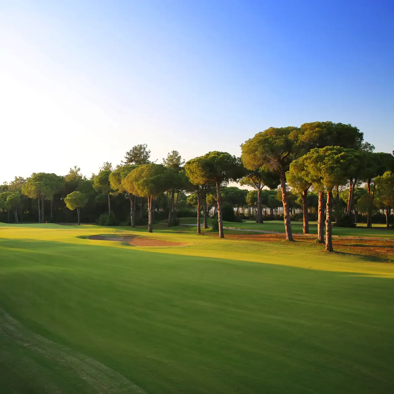 Gloria Golf Resort - Çimser