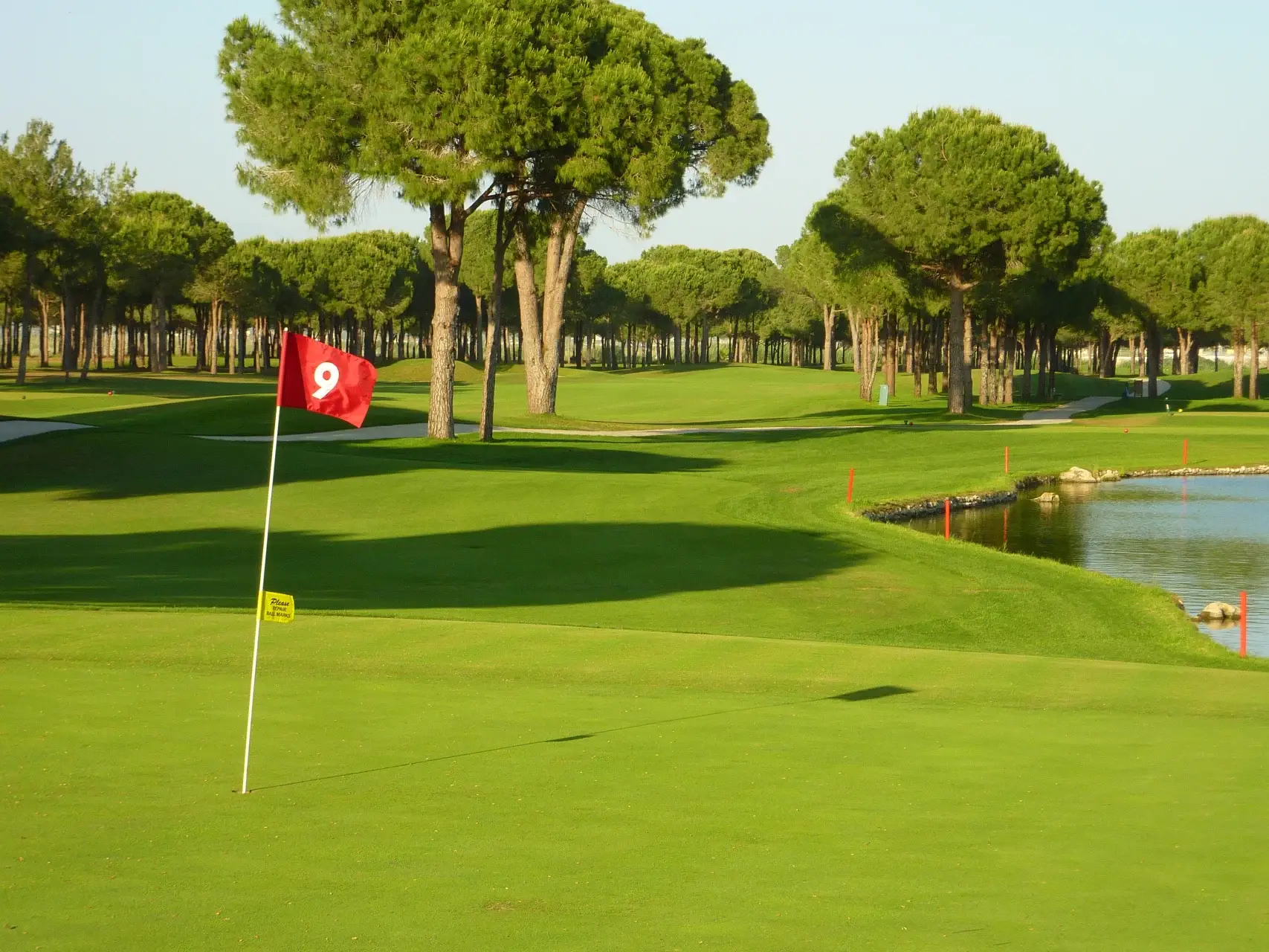 Nobilis Golf Club - Çimser