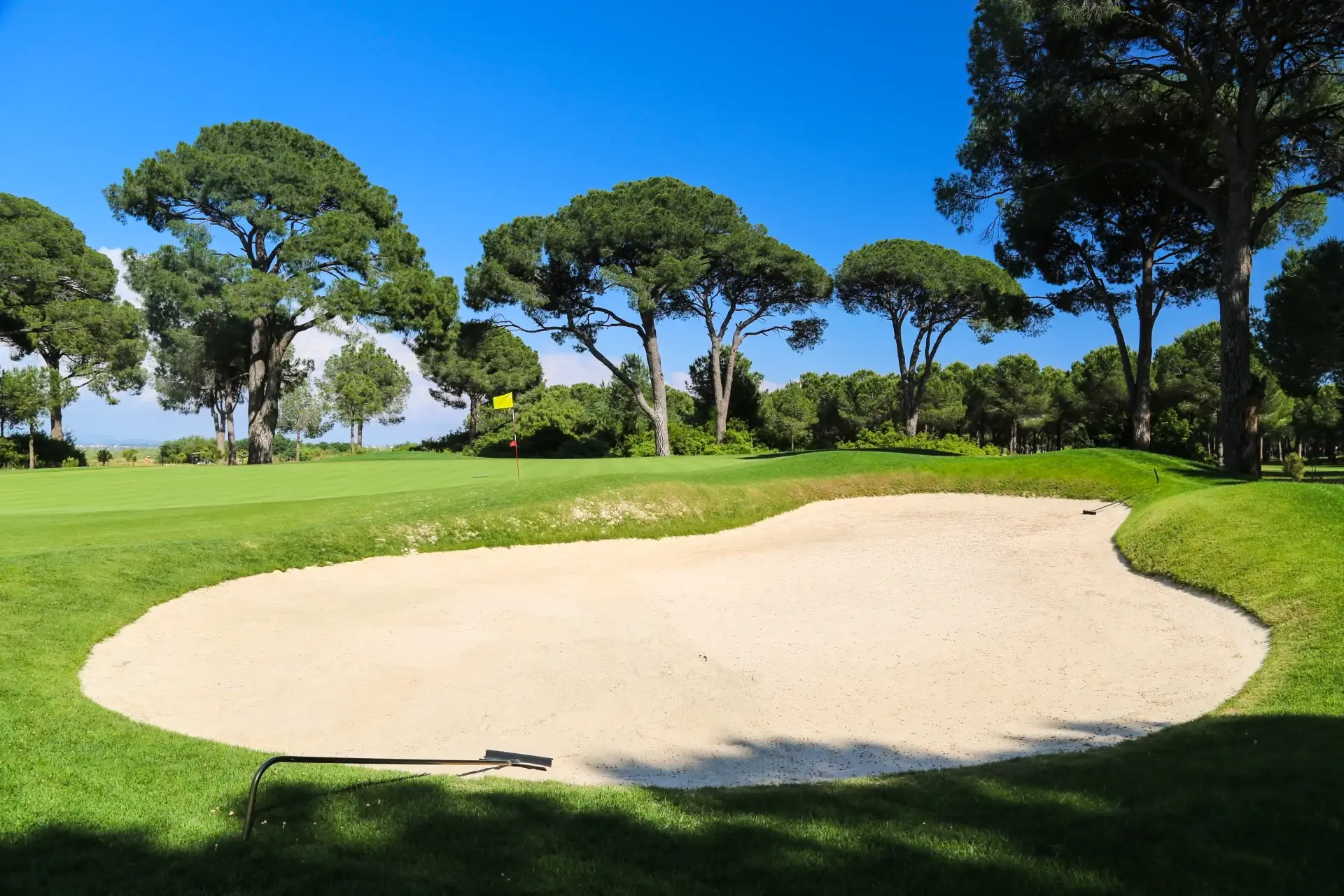 Nobilis Golf Club - Çimser