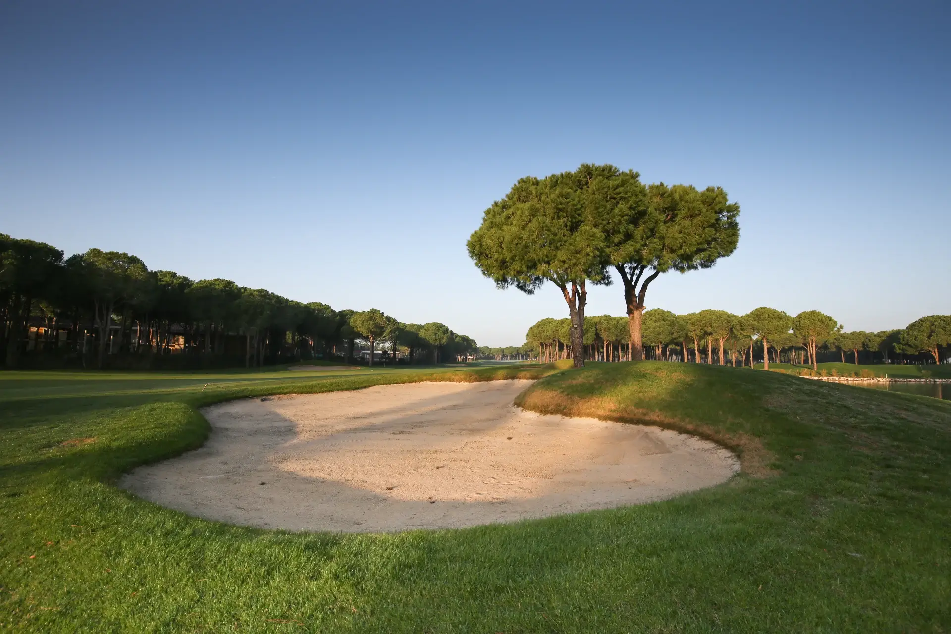 Nobilis Golf Club - Çimser