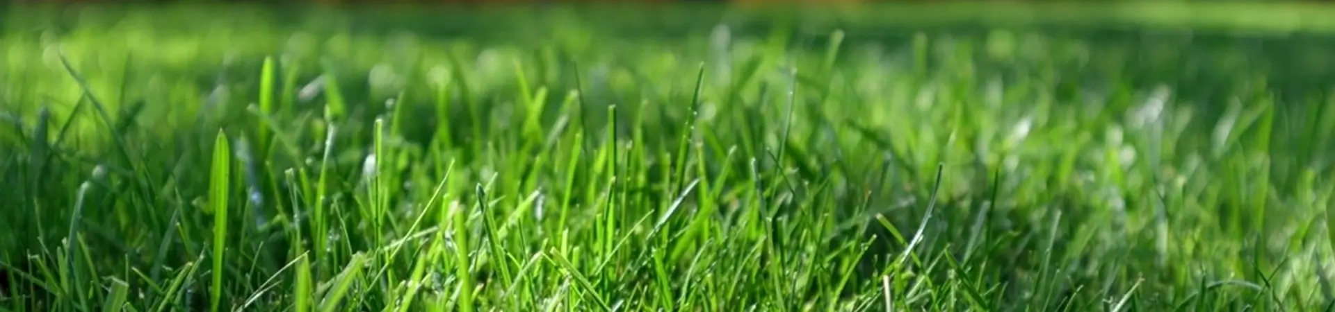 Gizlilik Politikası