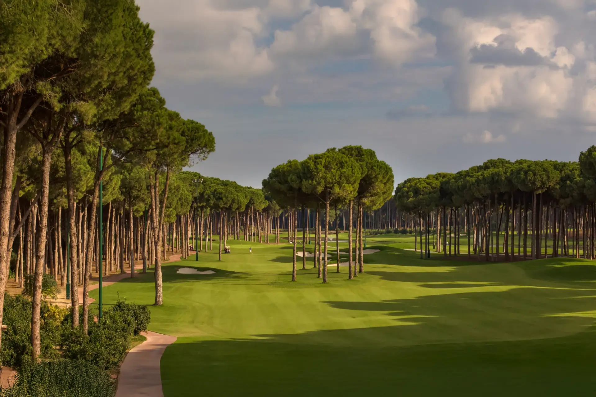 Regnum Carya Golf Club - Çimser