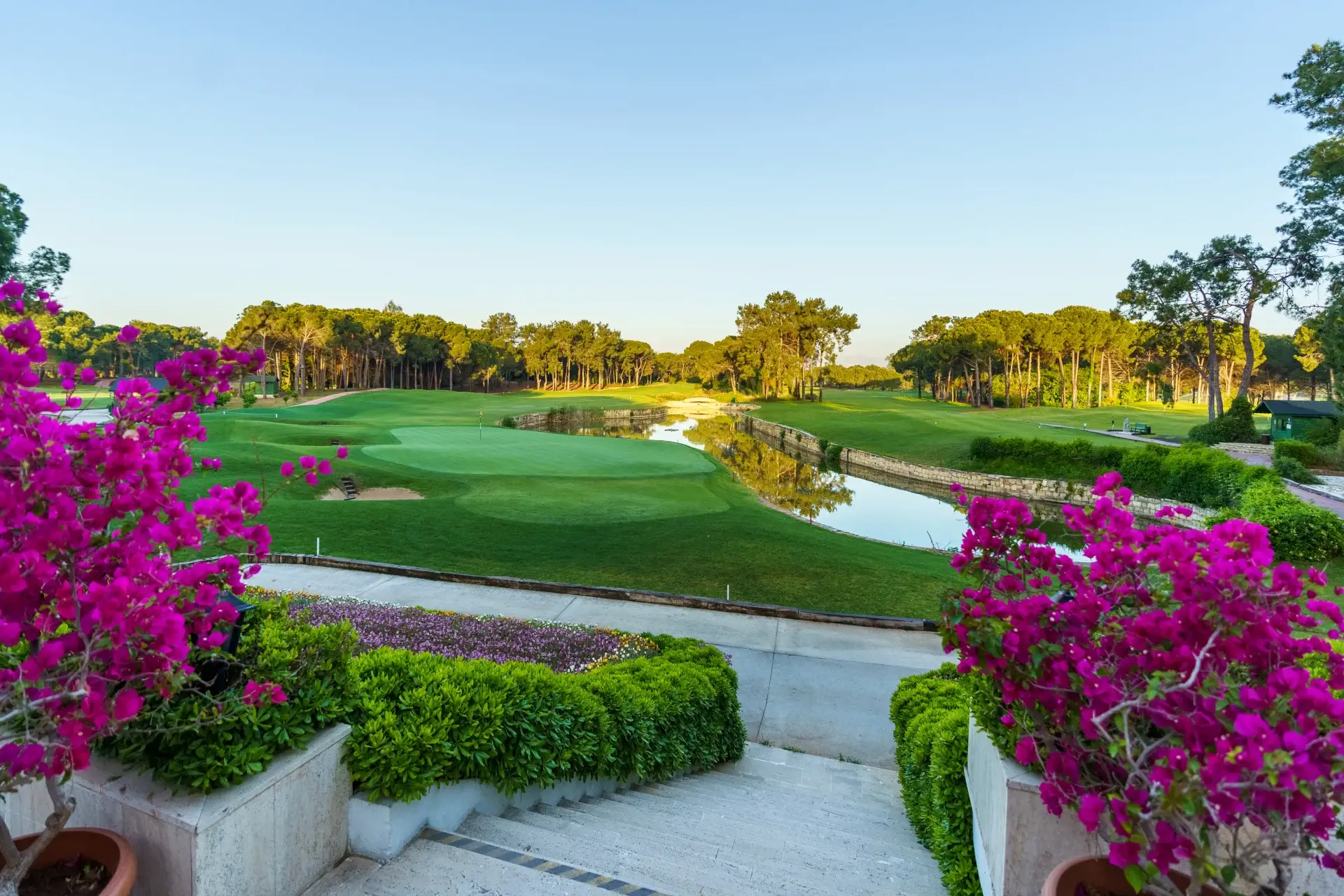 Regnum Carya Golf Club - Çimser