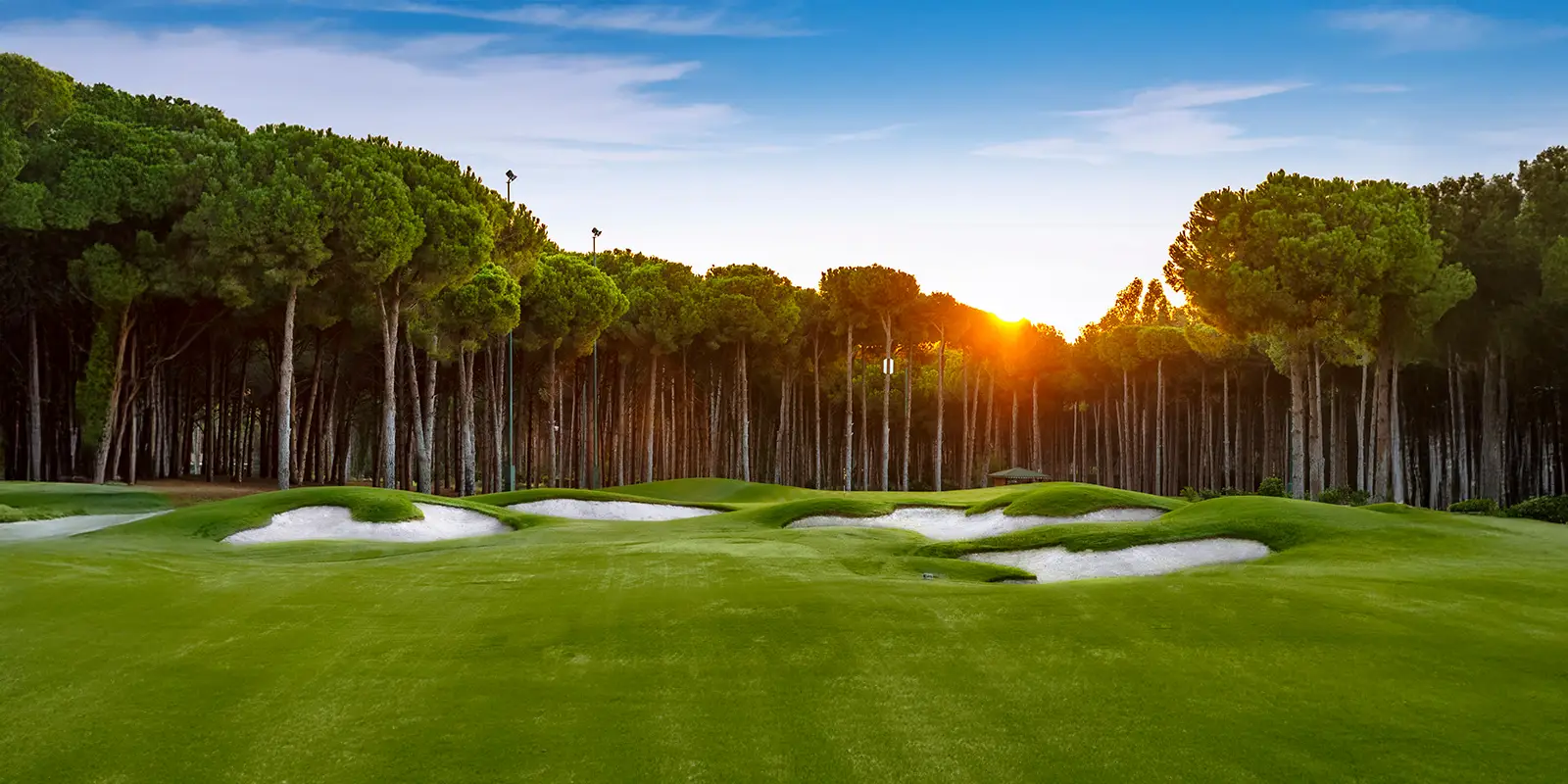 Regnum Carya Golf Club - Çimser