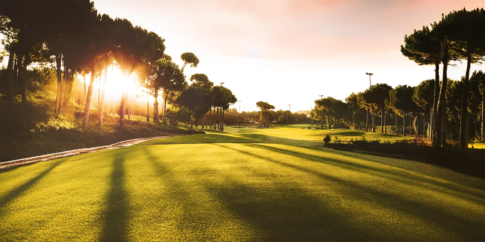 Regnum Carya Golf Club - Çimser