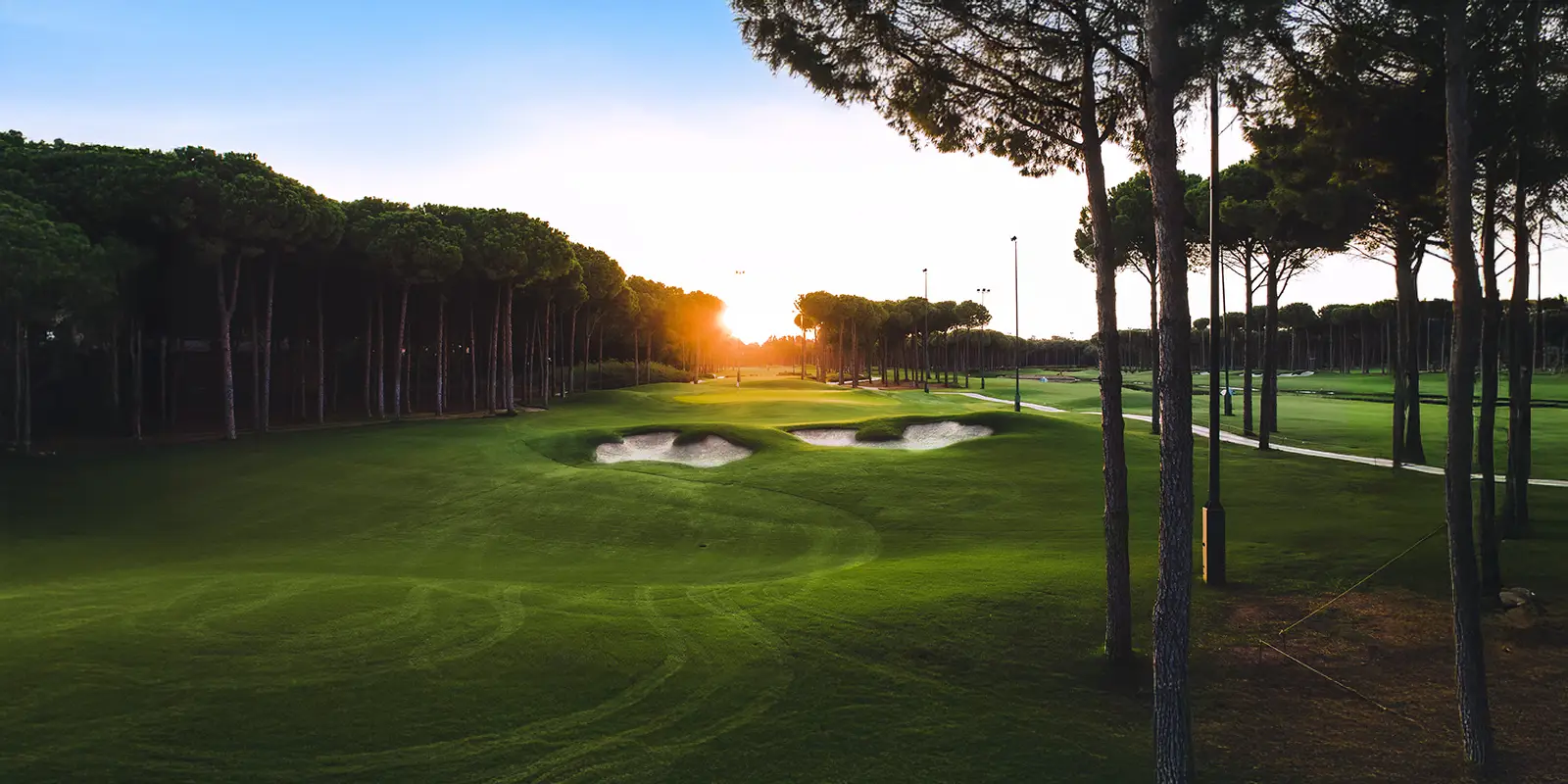 Regnum Carya Golf Club - Çimser