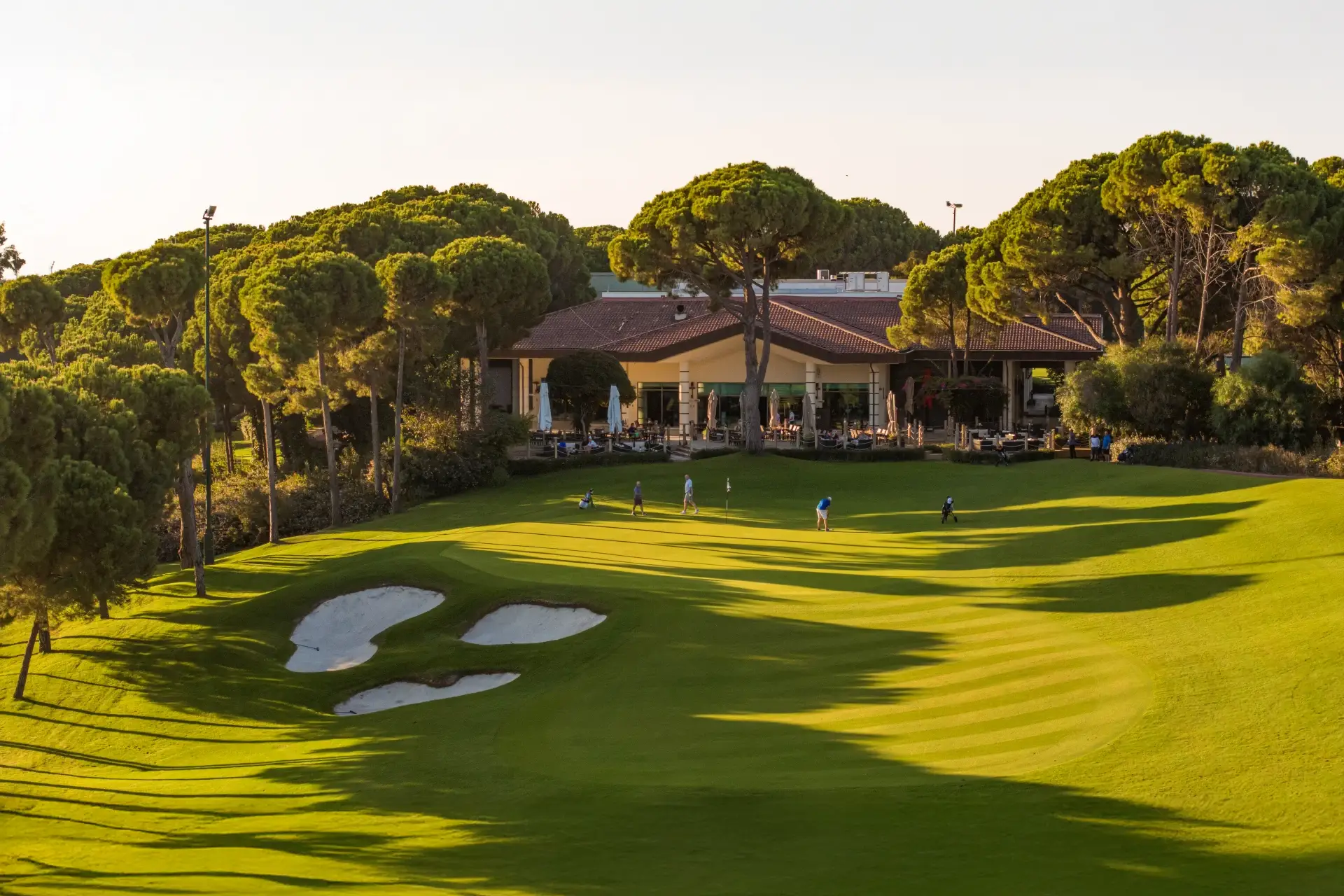 Regnum Carya Golf Club - Çimser