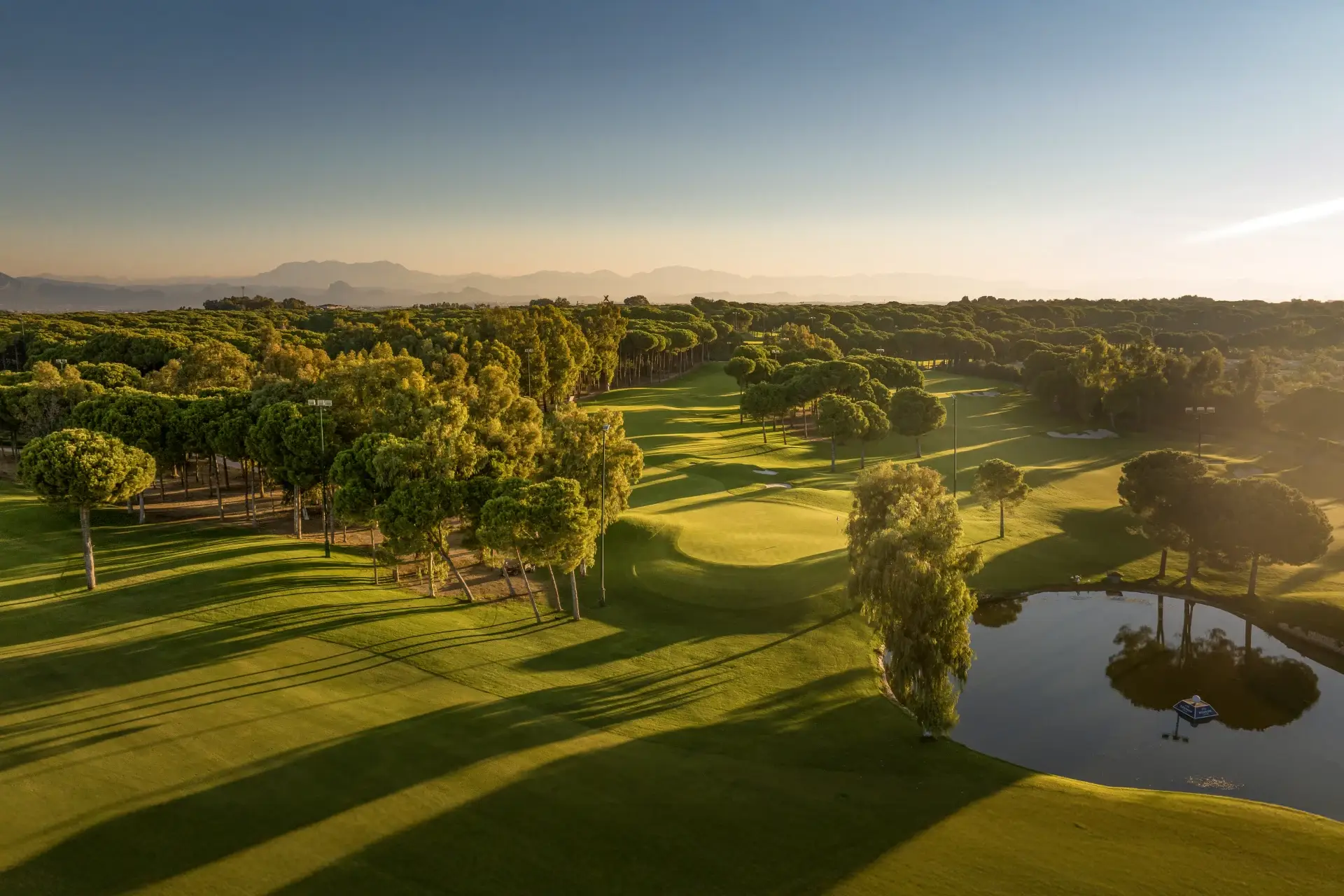 Regnum Carya Golf Club - Çimser
