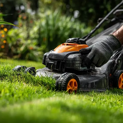 Turfgrass Maintenance