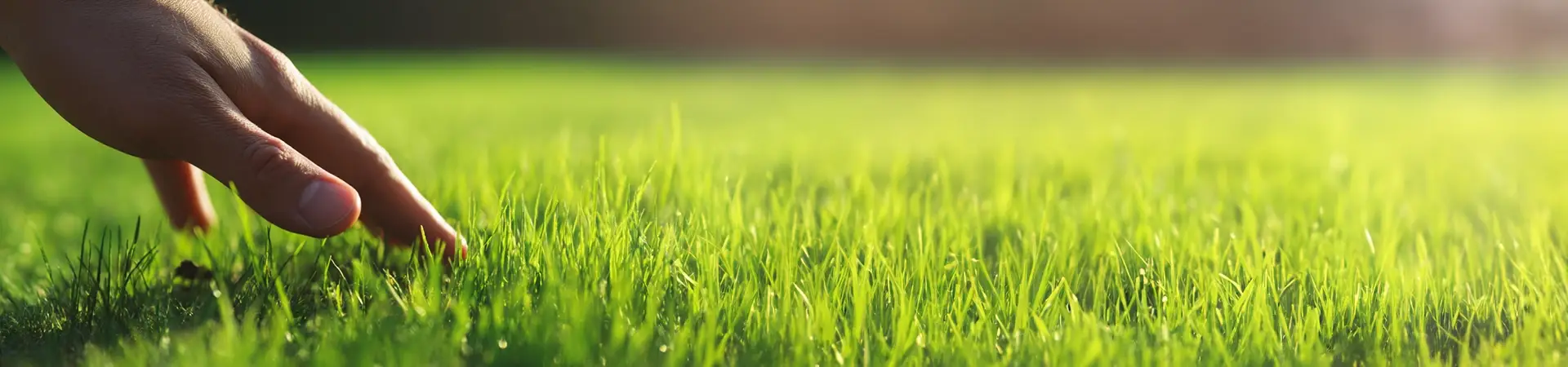 Professional Turfgrass Maintenance