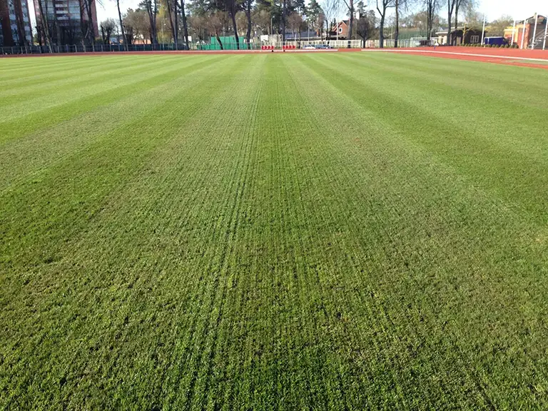 Verti Cut – Turf Aeration